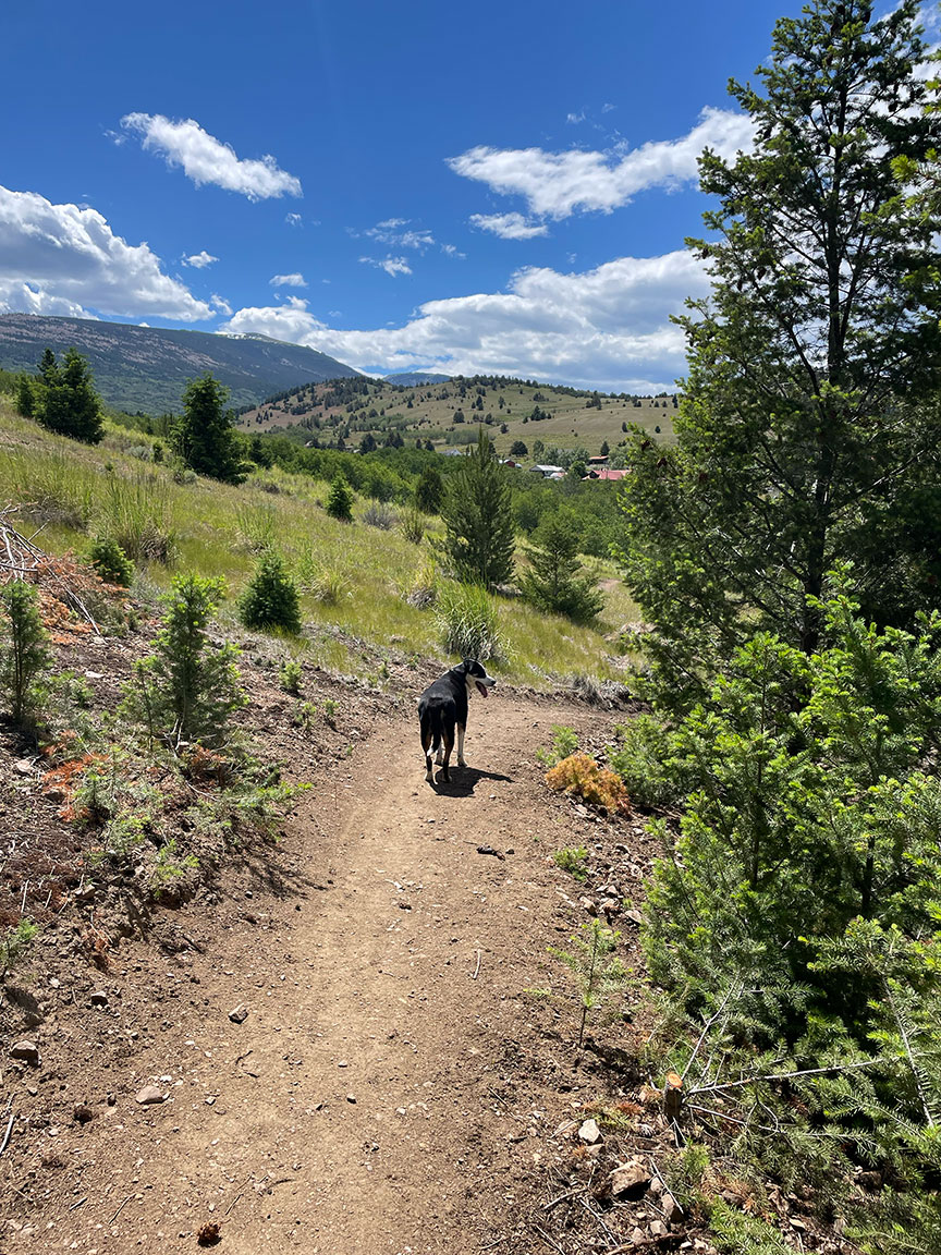 CopperL_DogOnTrail_AMangels