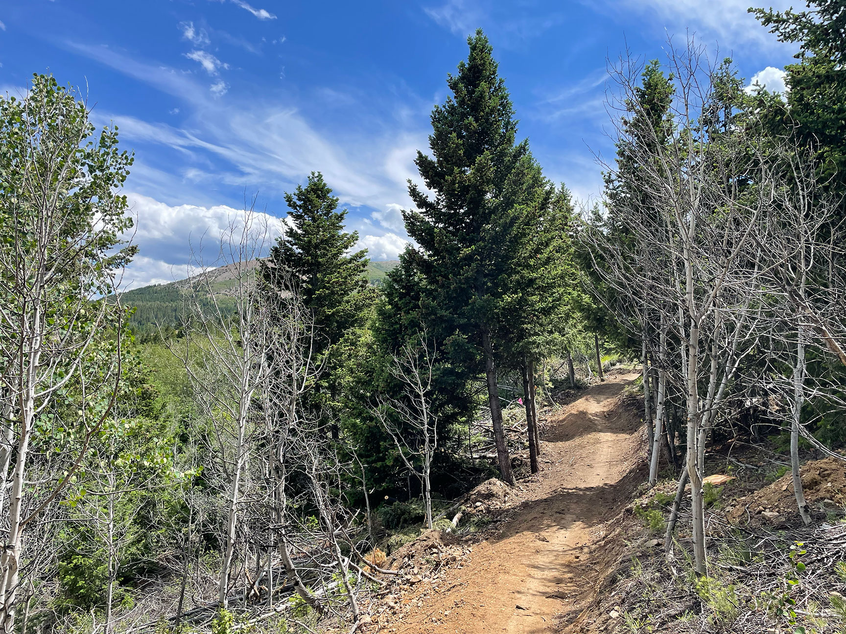 CopperL_TrailViews_AMangels