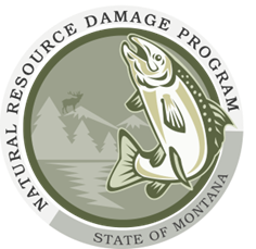 NRDP logo